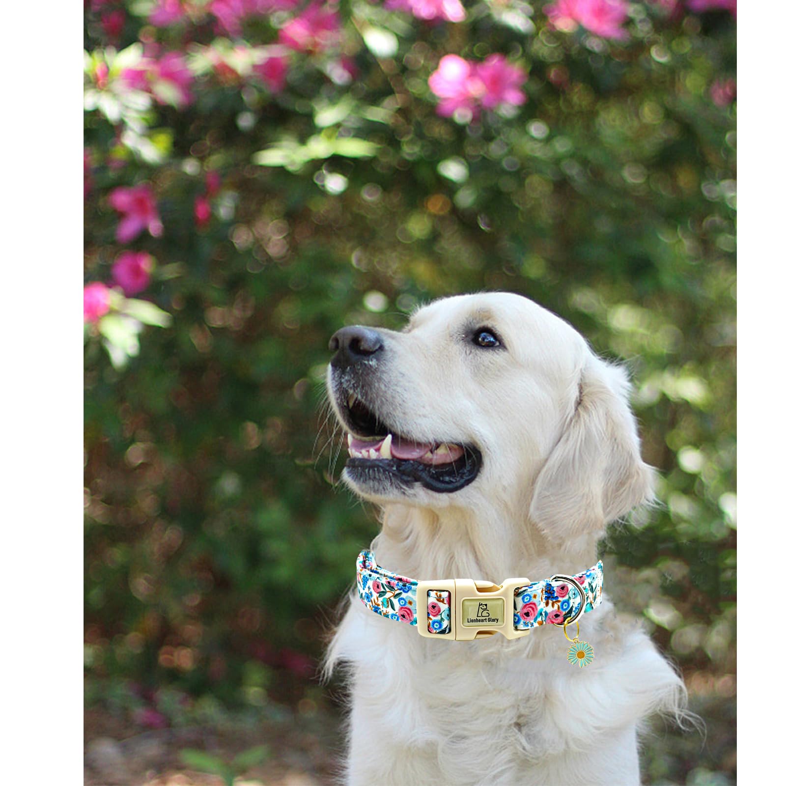 Collar floral para ocasiones especiales y paseos
