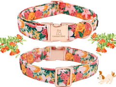 Collar grande con anilla en D de Lionheart glory, duradero y seguro