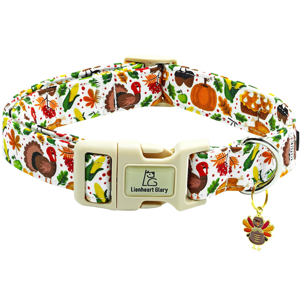 Collar Lionheart glory para perro, vista frontal, diseño festivo para fotos.