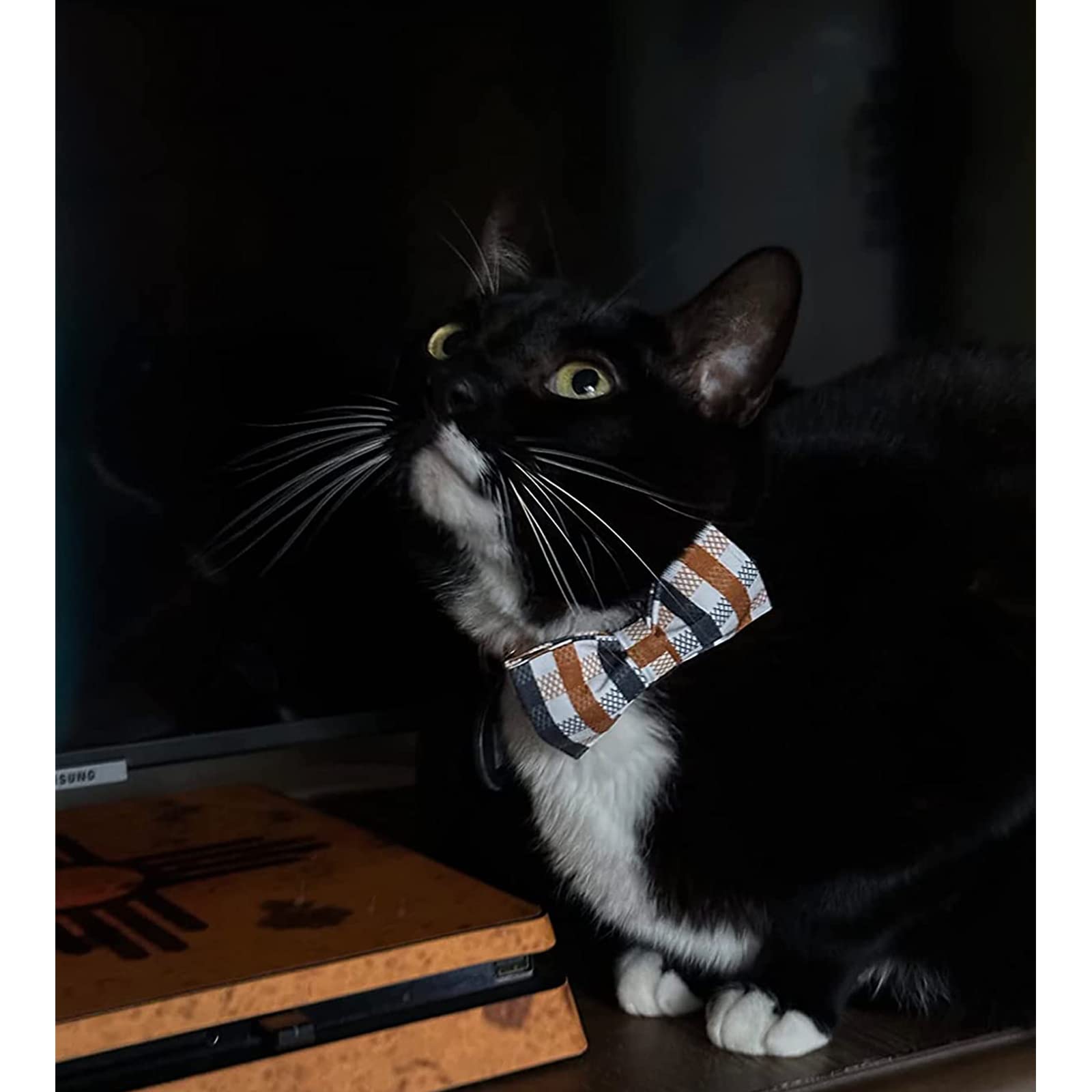 Lionheart glory collar plaid con costura doble: refuerzo para aventuras diarias.