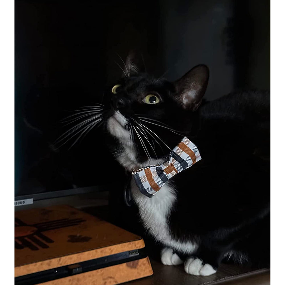 Lionheart glory collar plaid con costura doble: refuerzo para aventuras diarias.