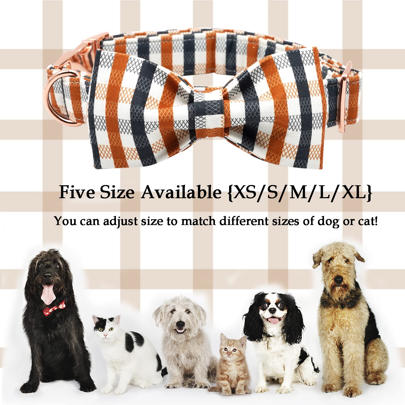 Lionheart glory collar plaid talla L: ideal para cuellos grandes con medidas.