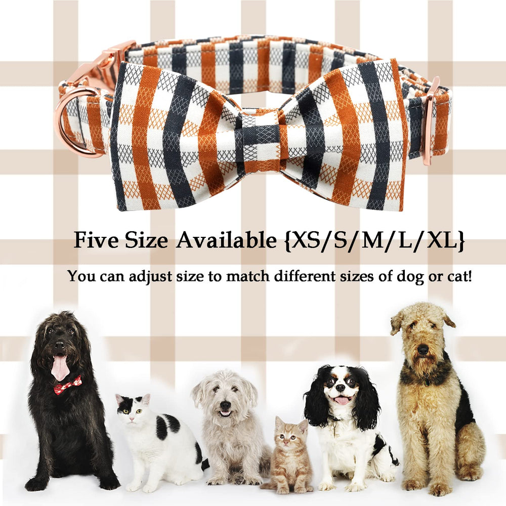 Lionheart glory collar plaid talla L: ideal para cuellos grandes con medidas.