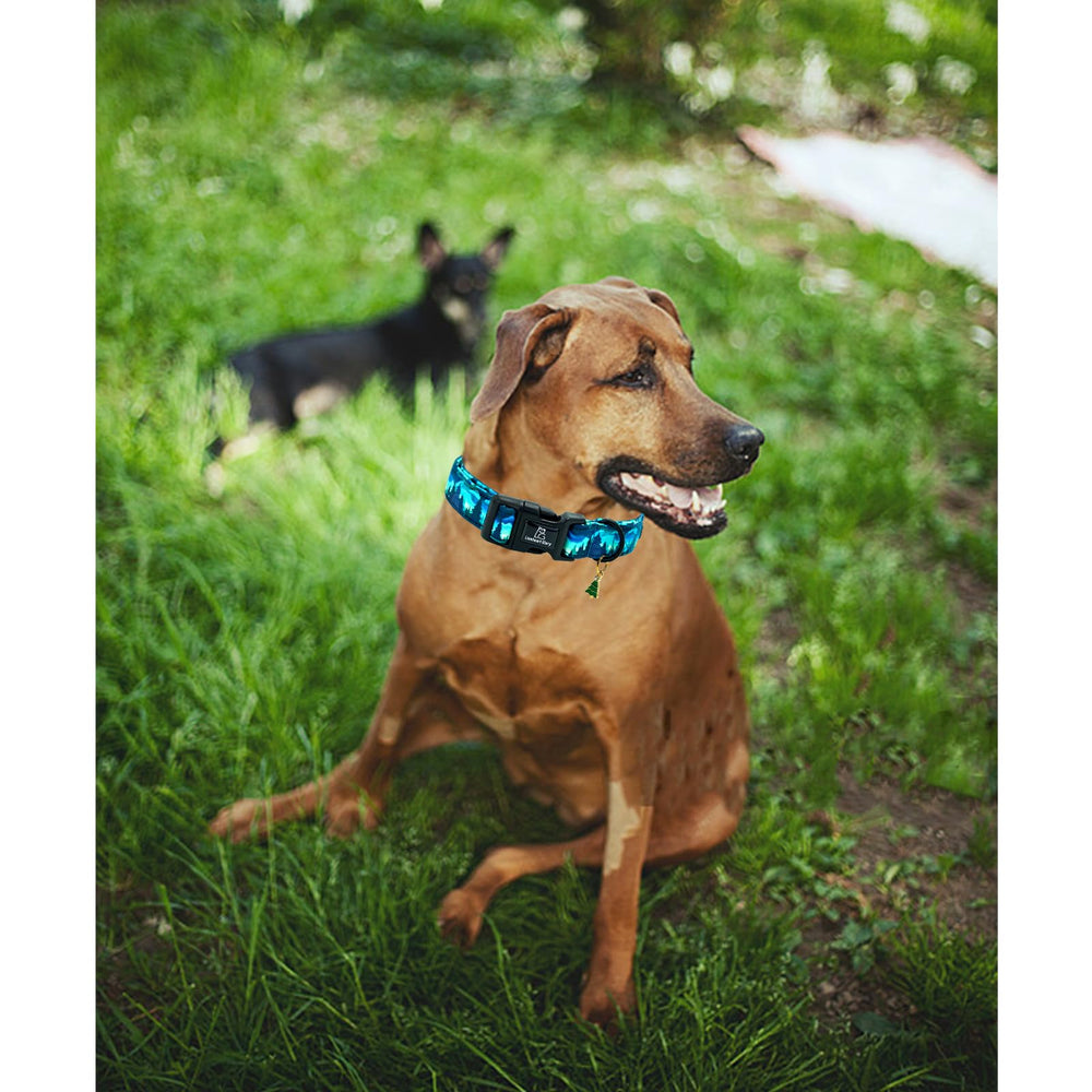 Collar Lionheart Glory regalo perfecto para mascota verde