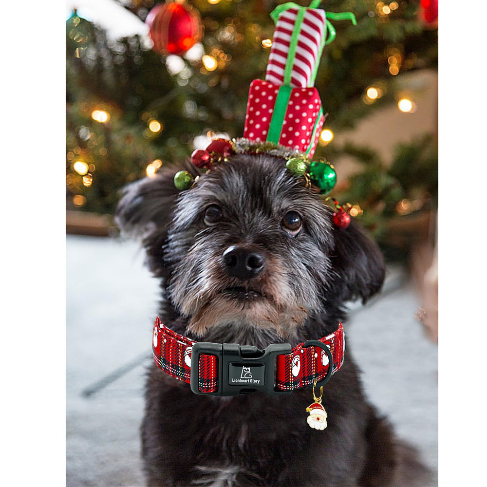 Collar Lionheart Glory ideal como regalo navideño para perros.