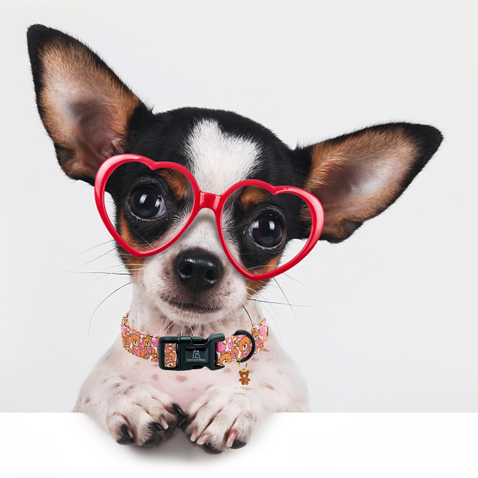 Regalo práctico para dueños de perros amantes del estilo