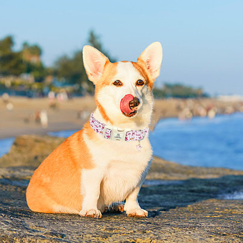 Regalo perfecto Lionheart glory, collar rosa para perros.