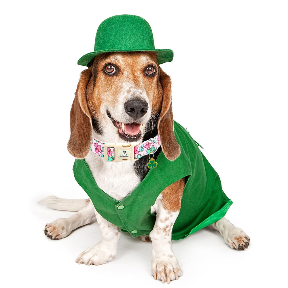 Colar Lionheart Glory St-Patrick Clover Rosa ideal para regalo