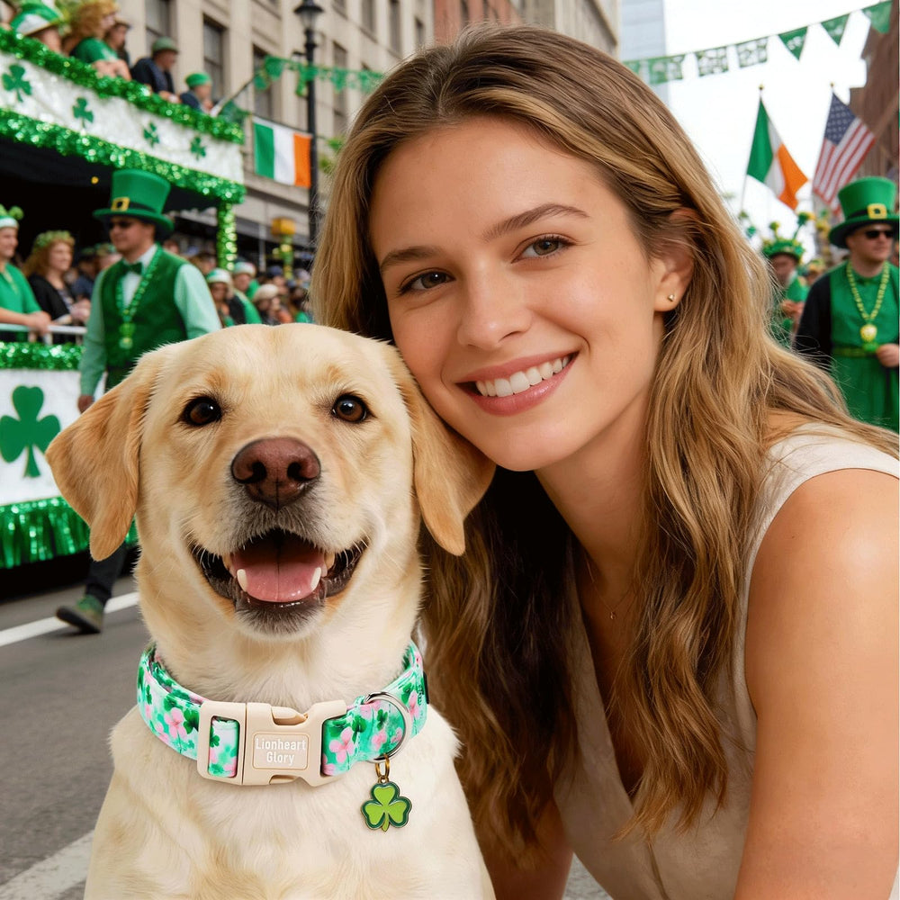 Collar Lionheart Glory con tallas xs a l, ajuste seguro para perros pequeños.