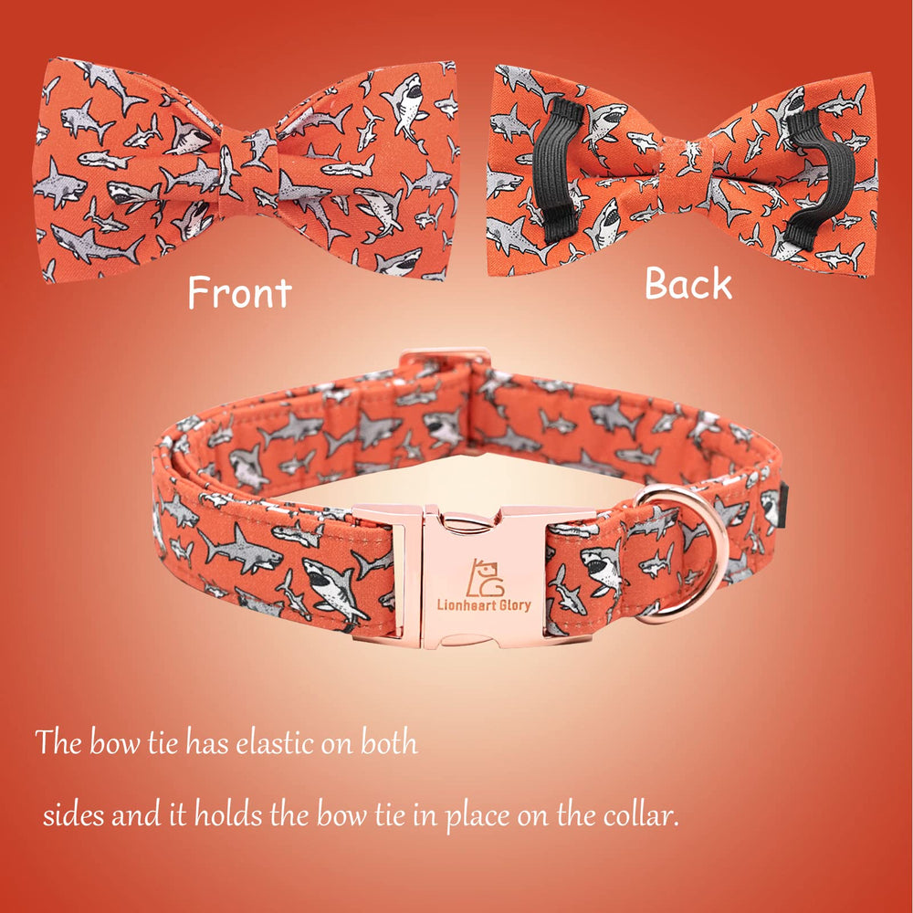 Tallas XS a XL disponibles en collar Lionheart Glory para todos los tamaños.