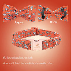 Tallas XS a XL disponibles en collar Lionheart Glory para todos los tamaños.