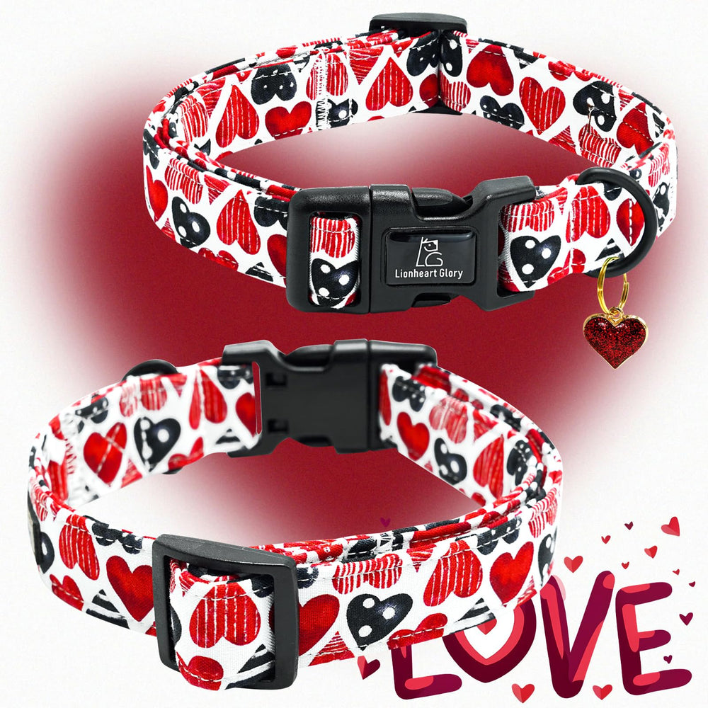 Lionheart Glory collar para uso diario, sesiones de foto y eventos.