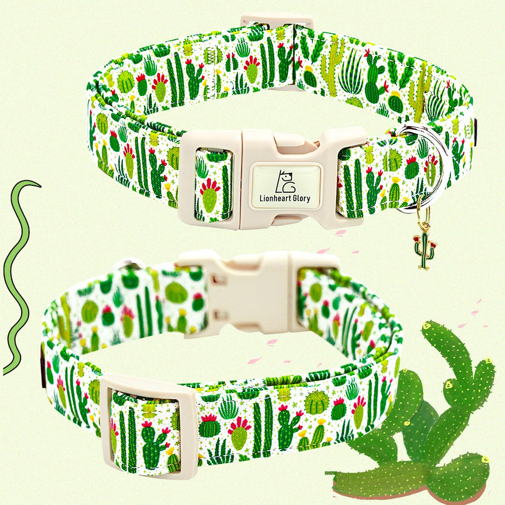 Collar de uso diario Lionheart Glory para perro, suave y duradero.