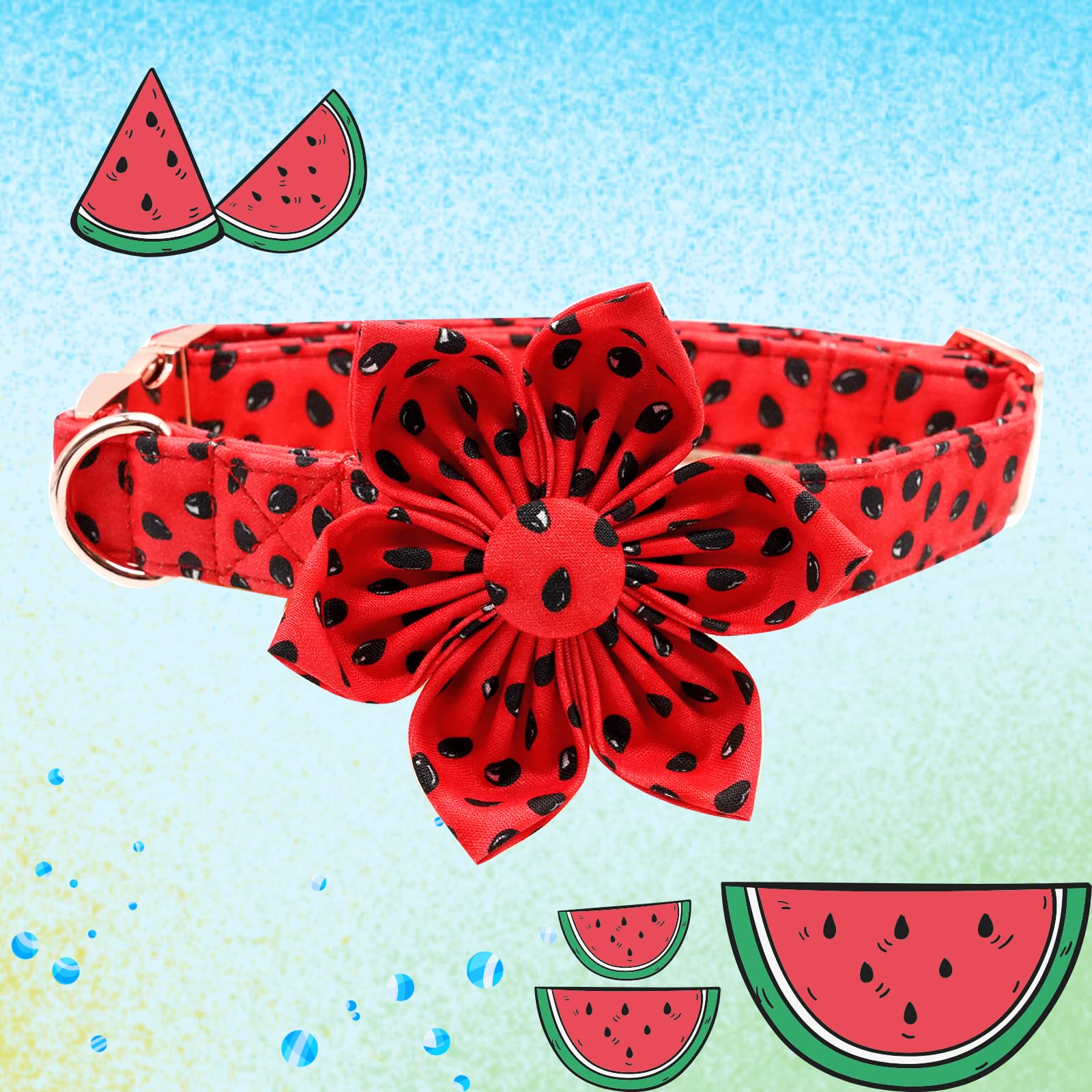 Lionheart glory collar verano-fruta-estampado, diseño llamativo para salidas.