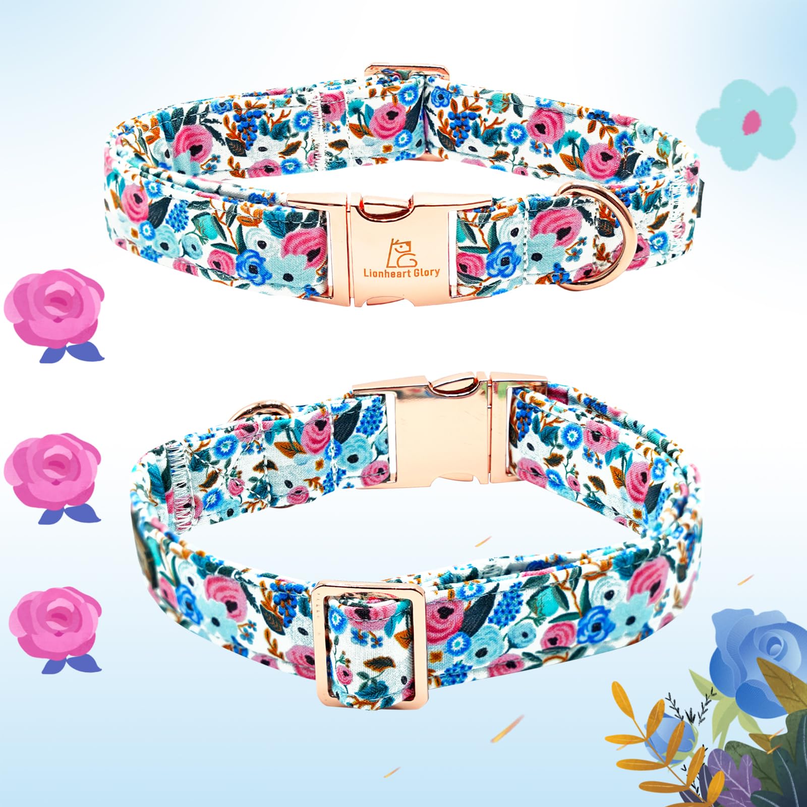 Conjunto Lionheart Glory: collar y lazo para perros medianos.