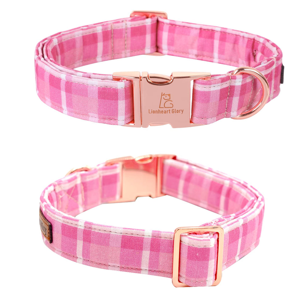 Correa ajustable del Collar Lionheart Glory, comodidad y seguridad.