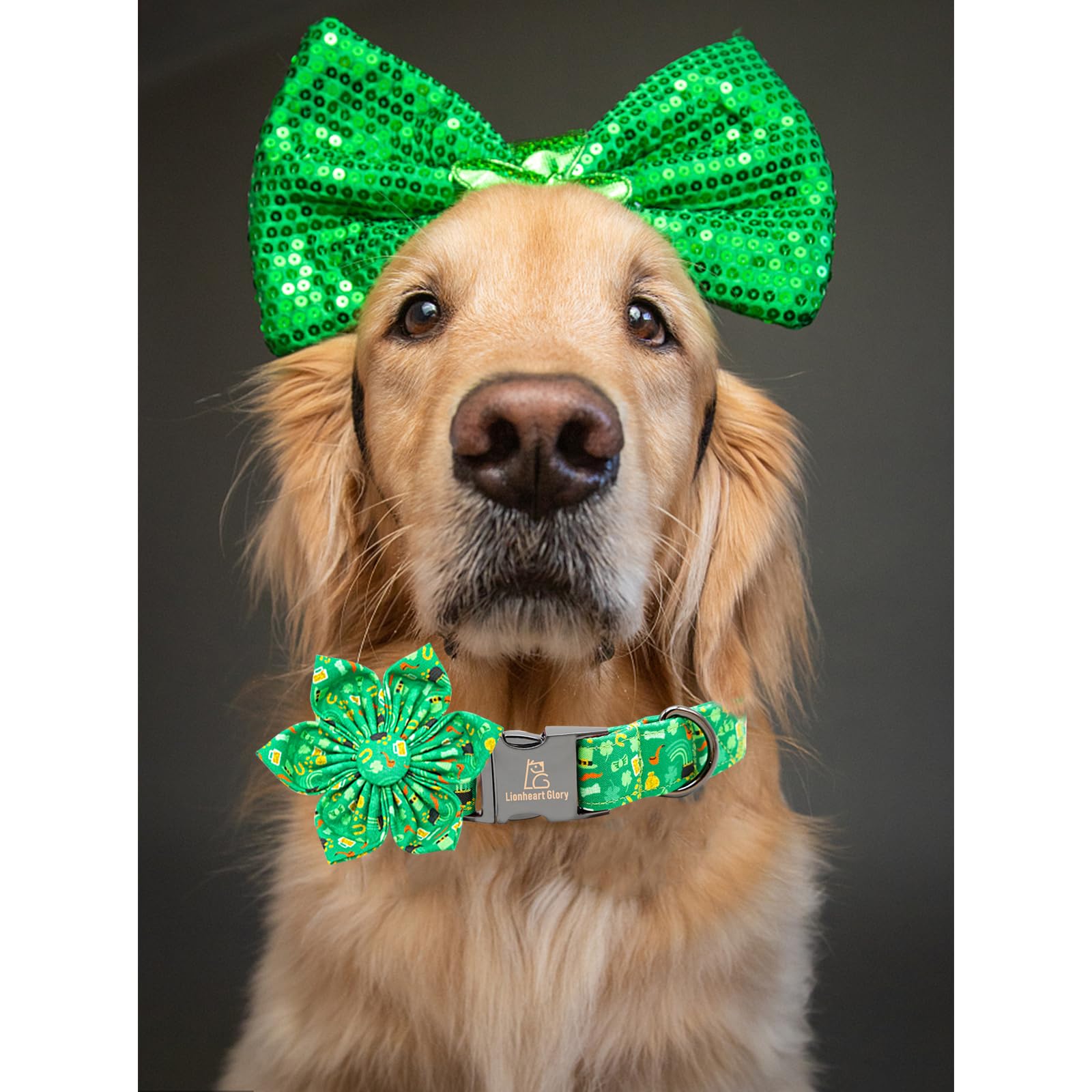 Diseño de trébol de Lionheart glory en collar verde para San Patricio
