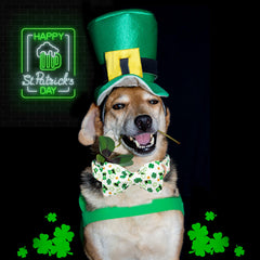 Diseño trébol verde Lionheart Glory, estilo temático para Día de San Patricio.