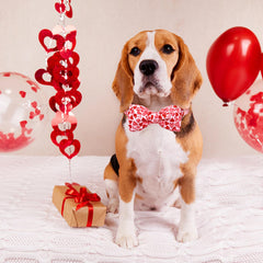 Diseño único con corazones para Lionheart Glory, ideal para regalar a un perro.