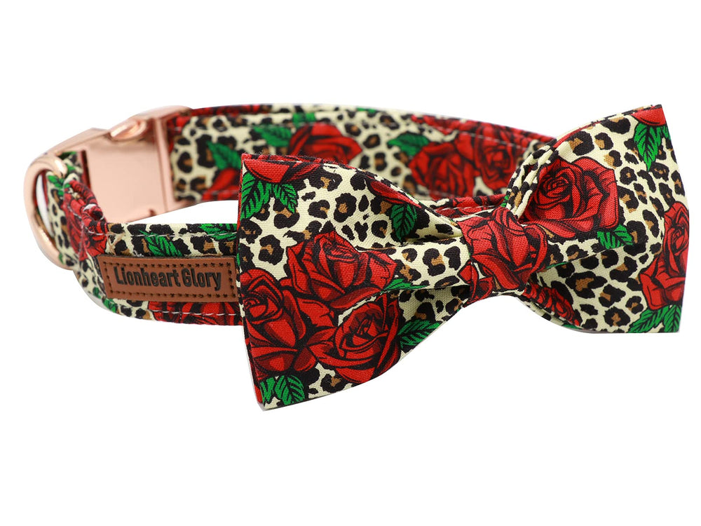 Lionheart glory collar con lazo hecho a mano para ocasiones especiales