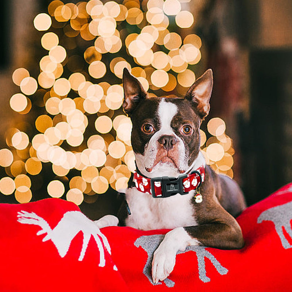 Pendiente navideño incluido Lionheart glory, perfecto para fiestas y regalos.