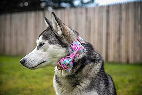 Regalo encantador para mascotas, diseño floral que realza su estilo.
