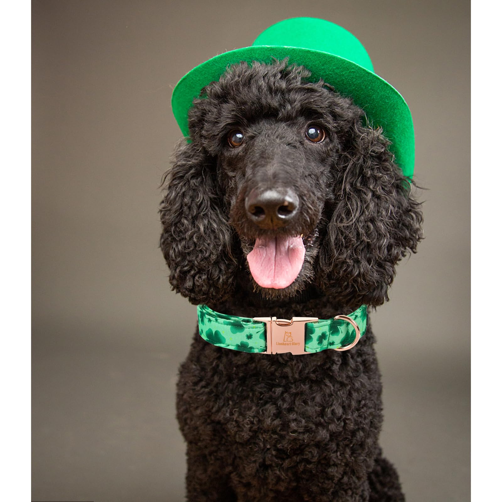 Regalo ideal para mascotas: collar San Patricio de Lionheart Glory.