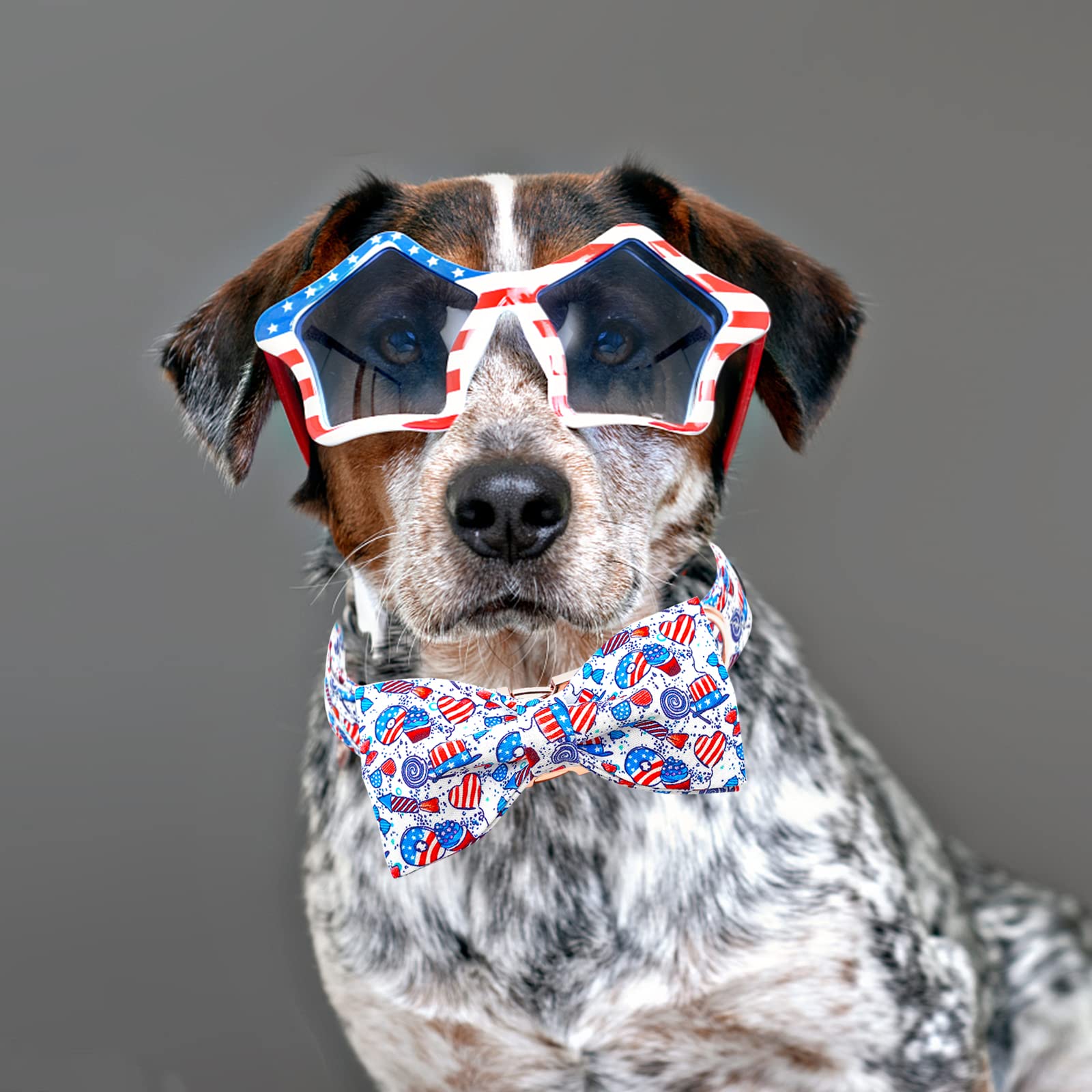 Regalo perfecto Lionheart glory para perros patrióticos durante el 4 de julio.