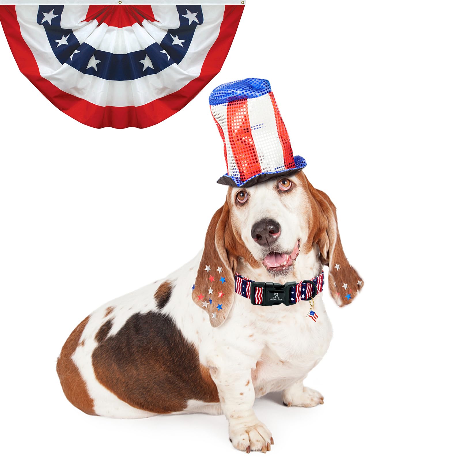 Regalo veraniego para perro: collar resistente y cómodo para días soleados.