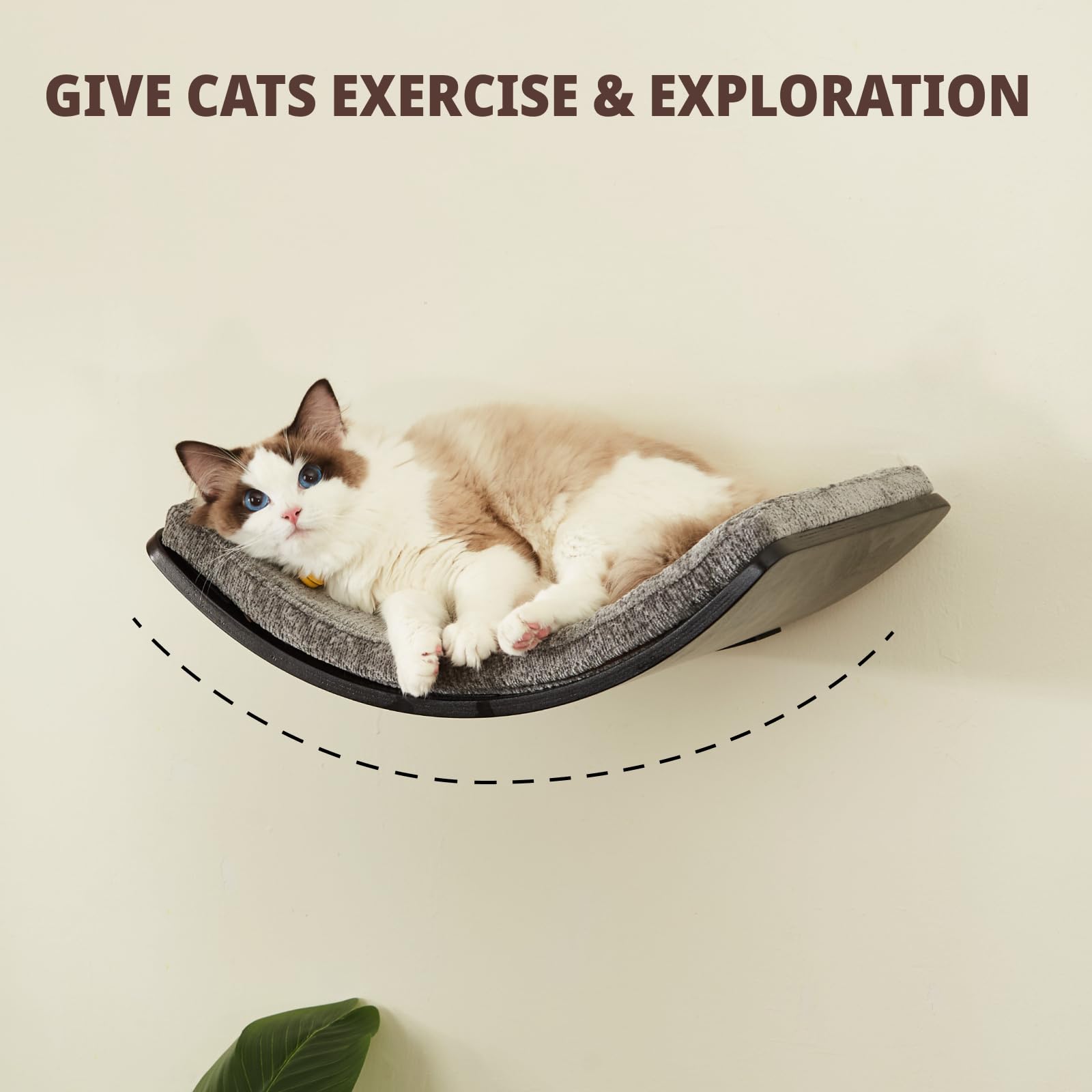 LIORCE cama de pared para gatos con diseño curvo hoja loto para dormir seguro