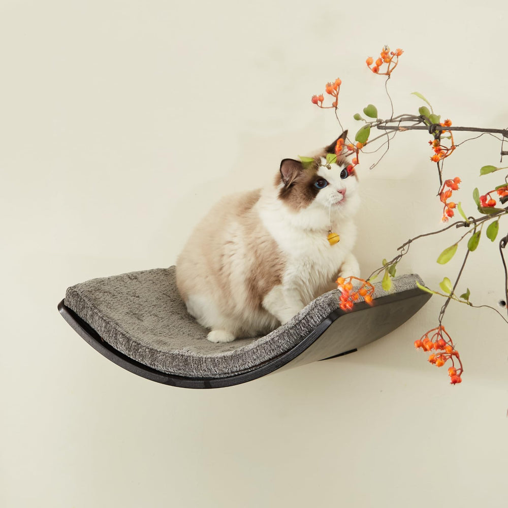 LIORCE estantería para gatos de 20.7 x 12 x 4.9 pulgadas
