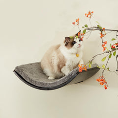 LIORCE estantería para gatos de 20.7 x 12 x 4.9 pulgadas