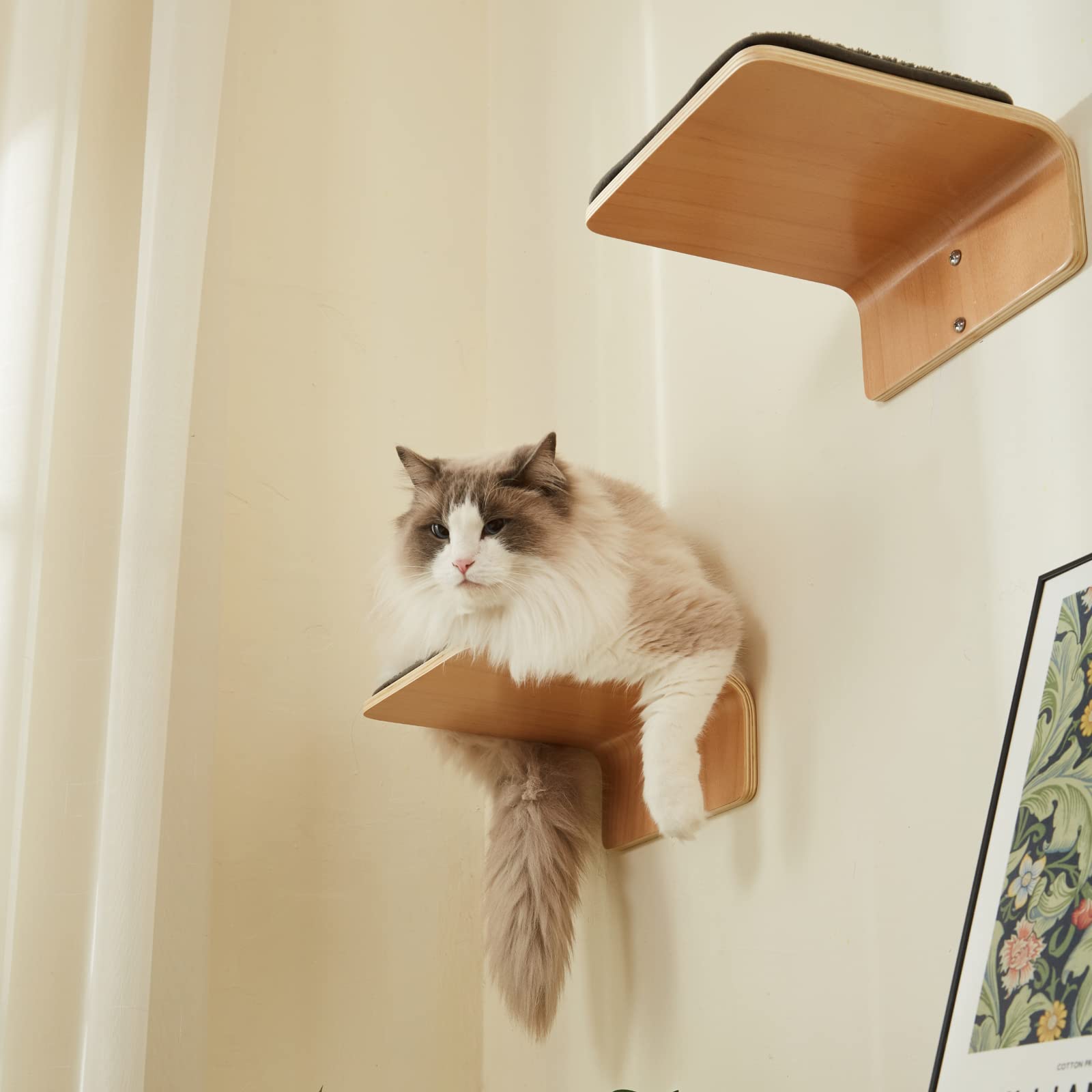 LIORCE diseño en madera para muebles de gato, estilo limpio y funcional