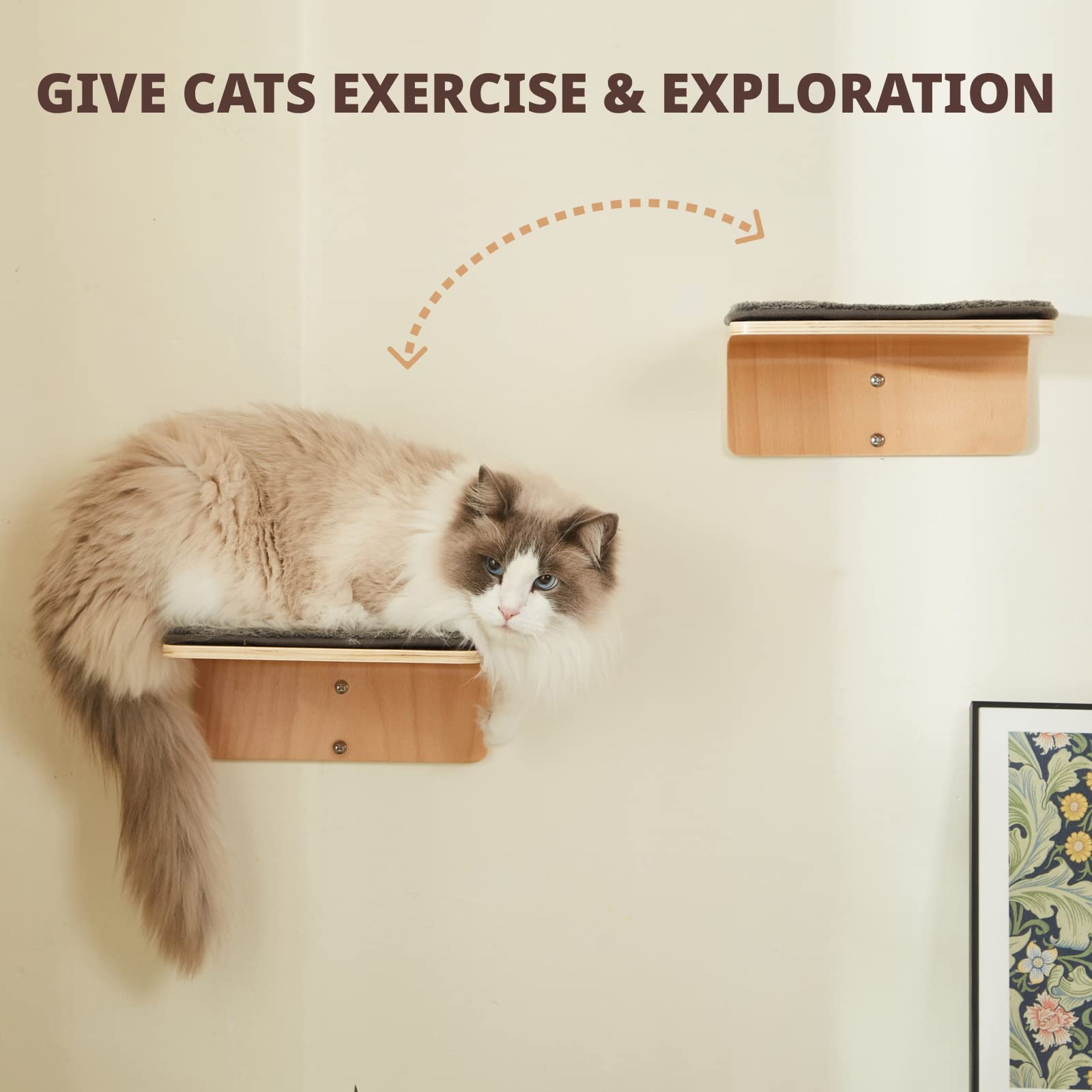 LIORCE escaleras de pared para gatos, diseño en madera duradero