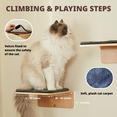 LIORCE alfombra rasca-pared para gatos, superficie antideslizante