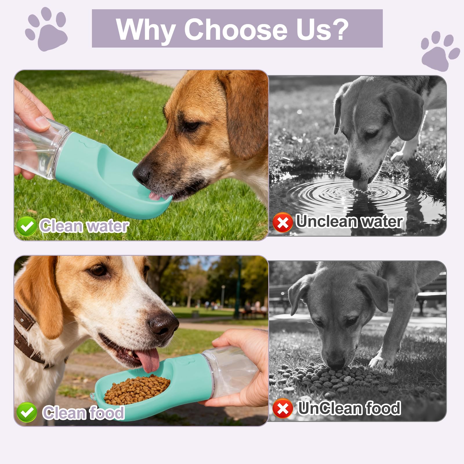 Uso exterior liphier para camping y paseos con perros