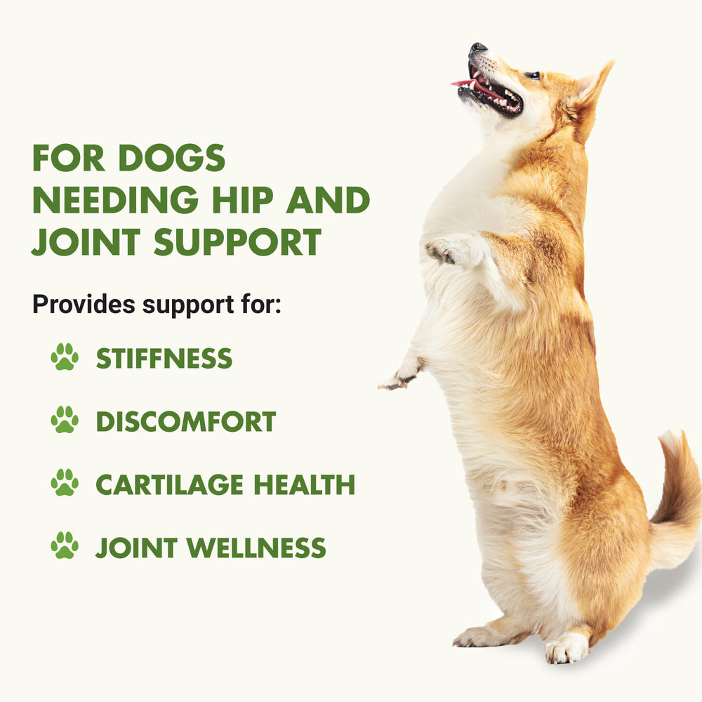 LIQUID-VET K9 Hip & Joint, etiqueta avanzada para confianza en la fórmula.