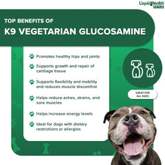 LiquiHealth K9 Glucosamina: etiqueta vegetariana, opción natural para perros.