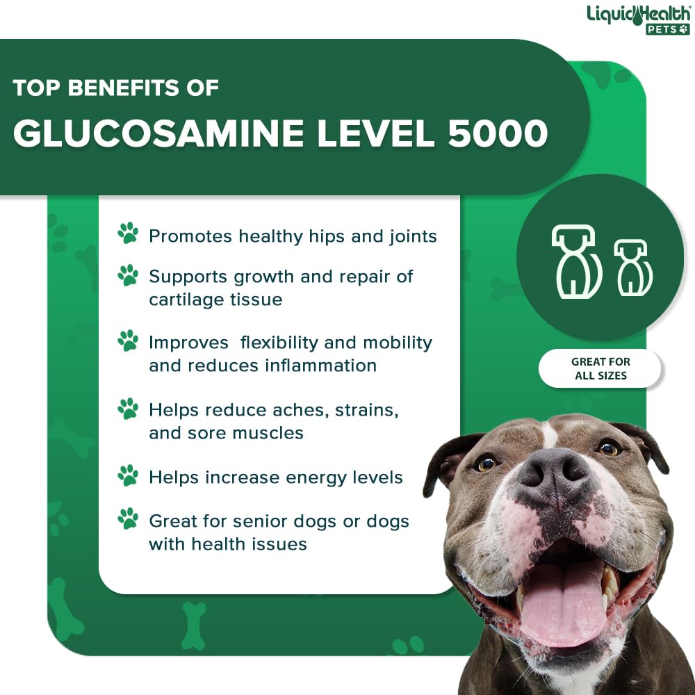 LIQUIDHEALTH Mascotas formula apta para todas las razas y tamaños.