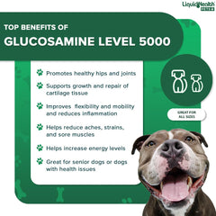 LIQUIDHEALTH Mascotas formula apta para todas las razas y tamaños.