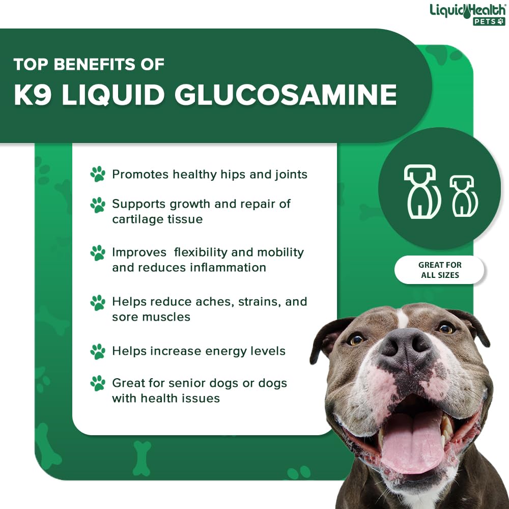 LIQUIDHEALTH K9 glucosamina: dispensador medidor facilita dosificación diaria.