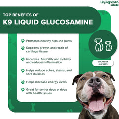 LIQUIDHEALTH K9 glucosamina: dispensador medidor facilita dosificación diaria.