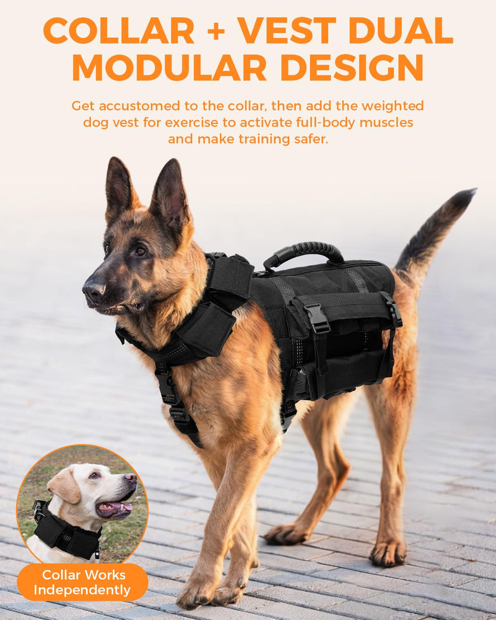 Chaleco pesado LISPOO para perro, entrenamiento de resistencia cómodo