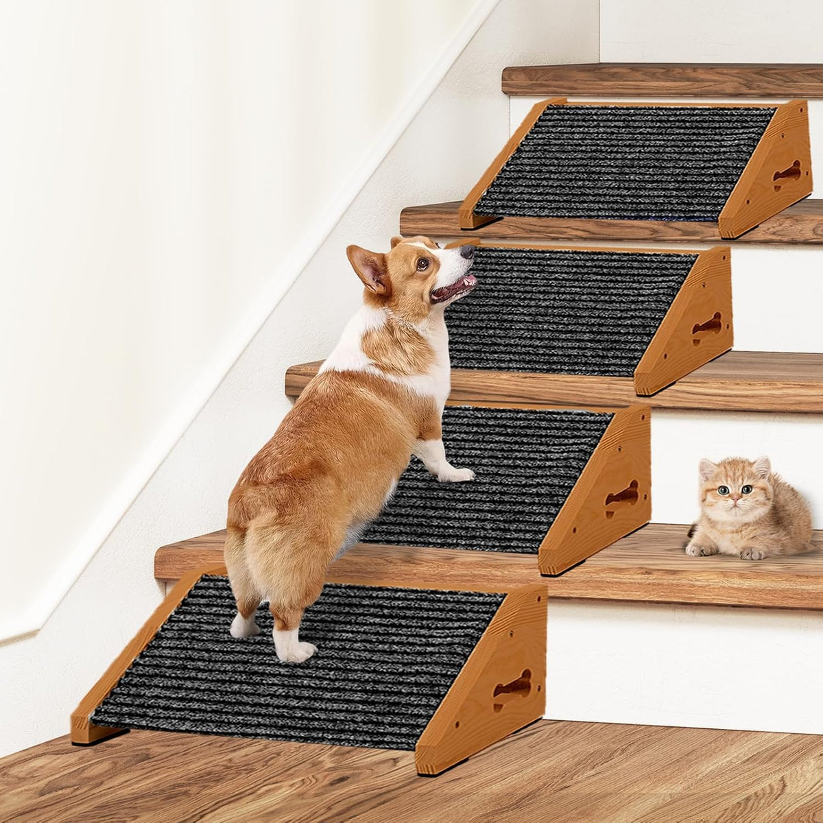 LitaiL rampa de anchura extra para perro en escaleras, facilita subir y bajar.