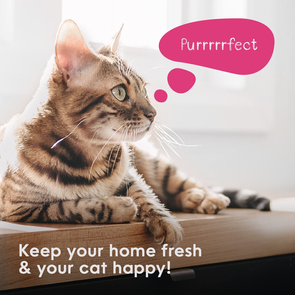 Hogar más fresco con Litter Genie en casa de gatos