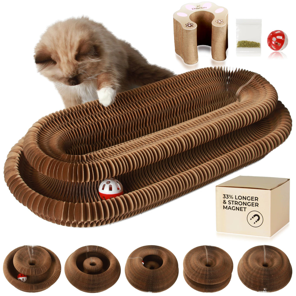 LittleMitts Magia Organ Gato Estimulacion Mental Fisica en una sola pieza.