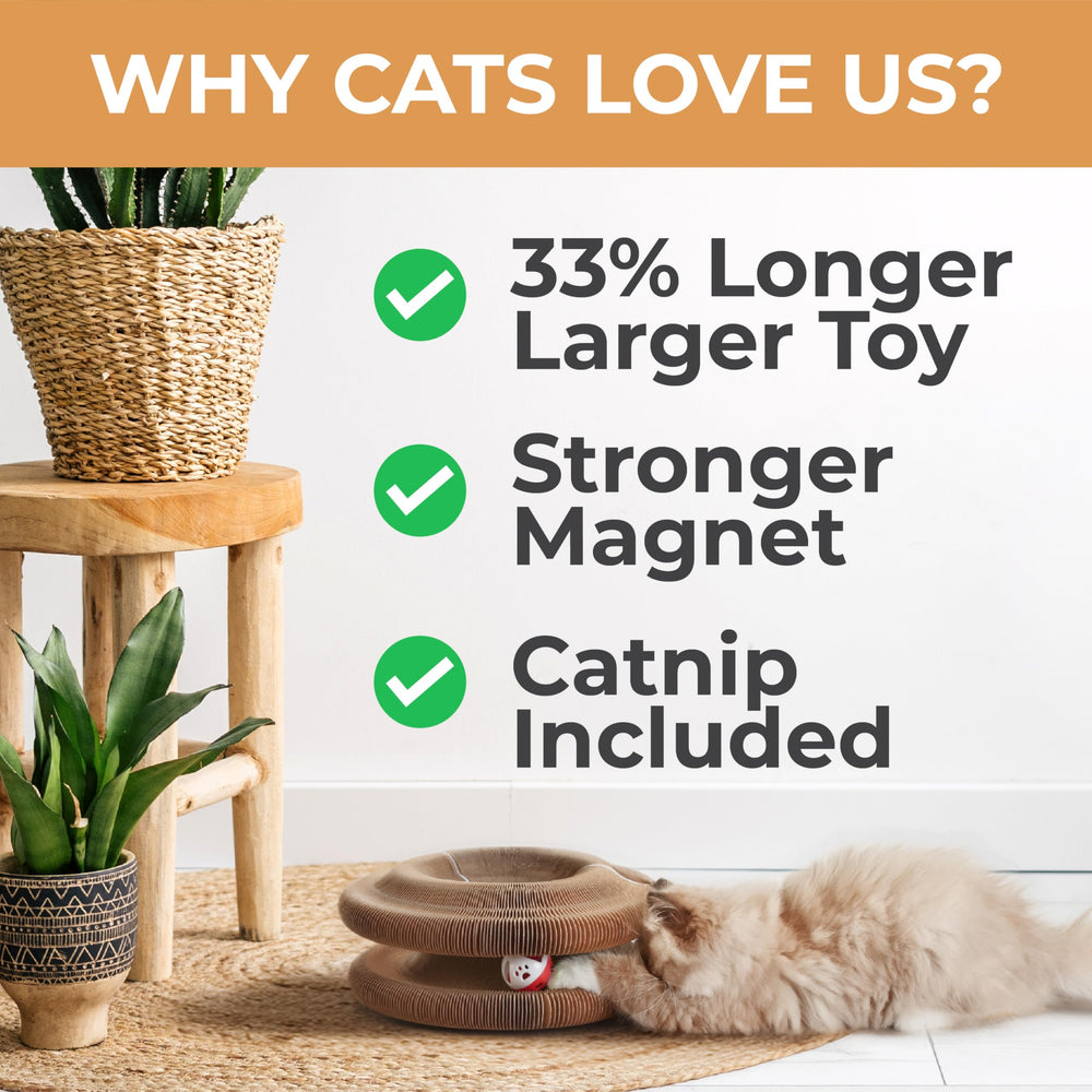 LittleMitts Magia Organ Gato Pelota Campana añade sonido para el juego interactivo.