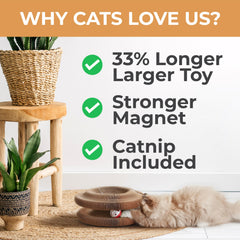 LittleMitts Magia Organ Gato Pelota Campana añade sonido para el juego interactivo.