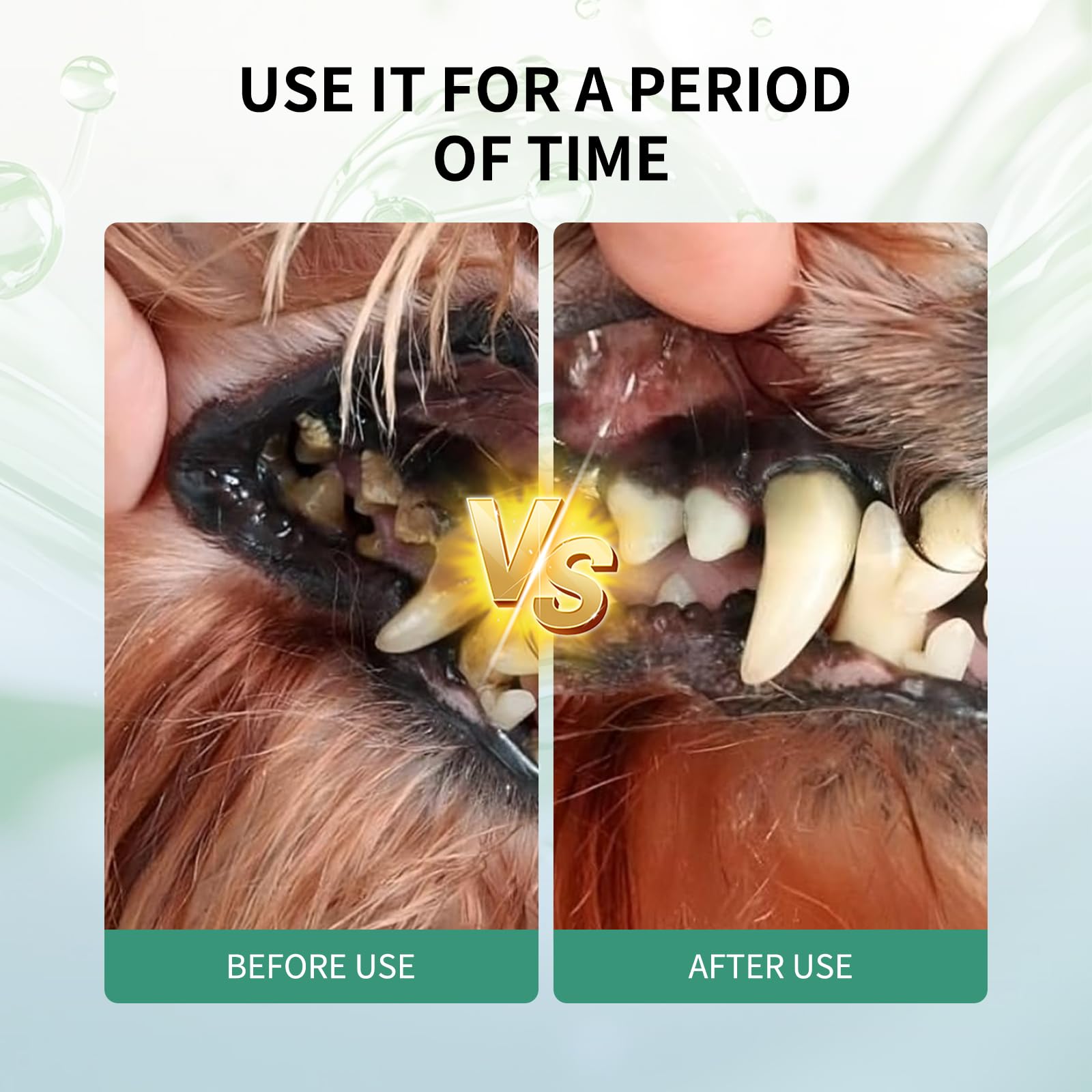 LITUEPET Polvo dental para perros: ingredientes naturales y suaves.