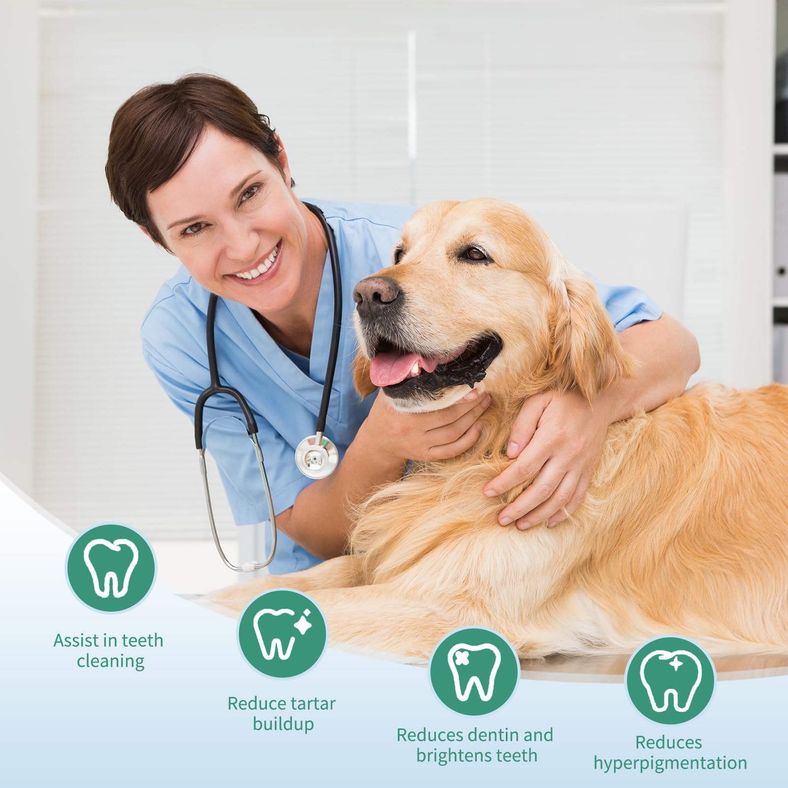 LITUEPET Polvo dental para perros: mezcla sin enjuague tras las comidas.